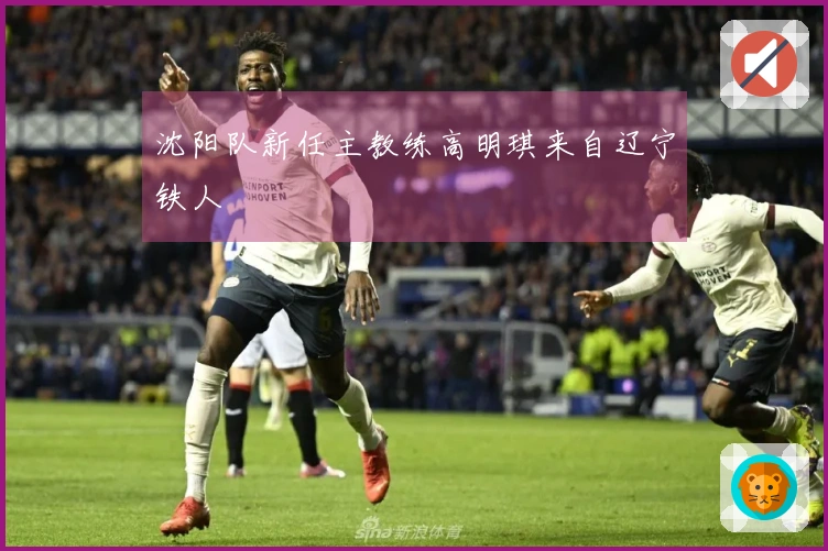 沈阳队新任主教练高明琪来自辽宁铁人