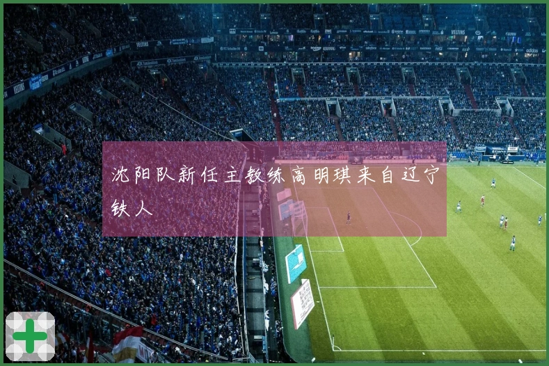 沈阳队新任主教练高明琪来自辽宁铁人